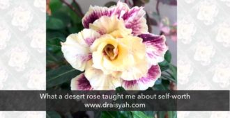 What a desert rose taught me about self worth